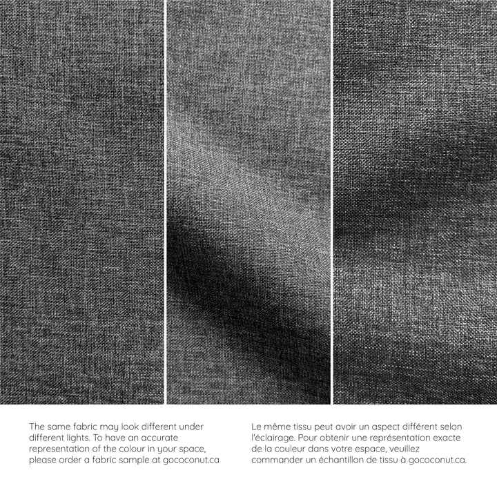 The Adventure Coconut