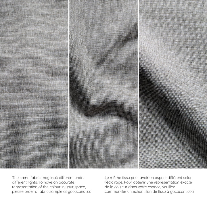 The Adventure Coconut