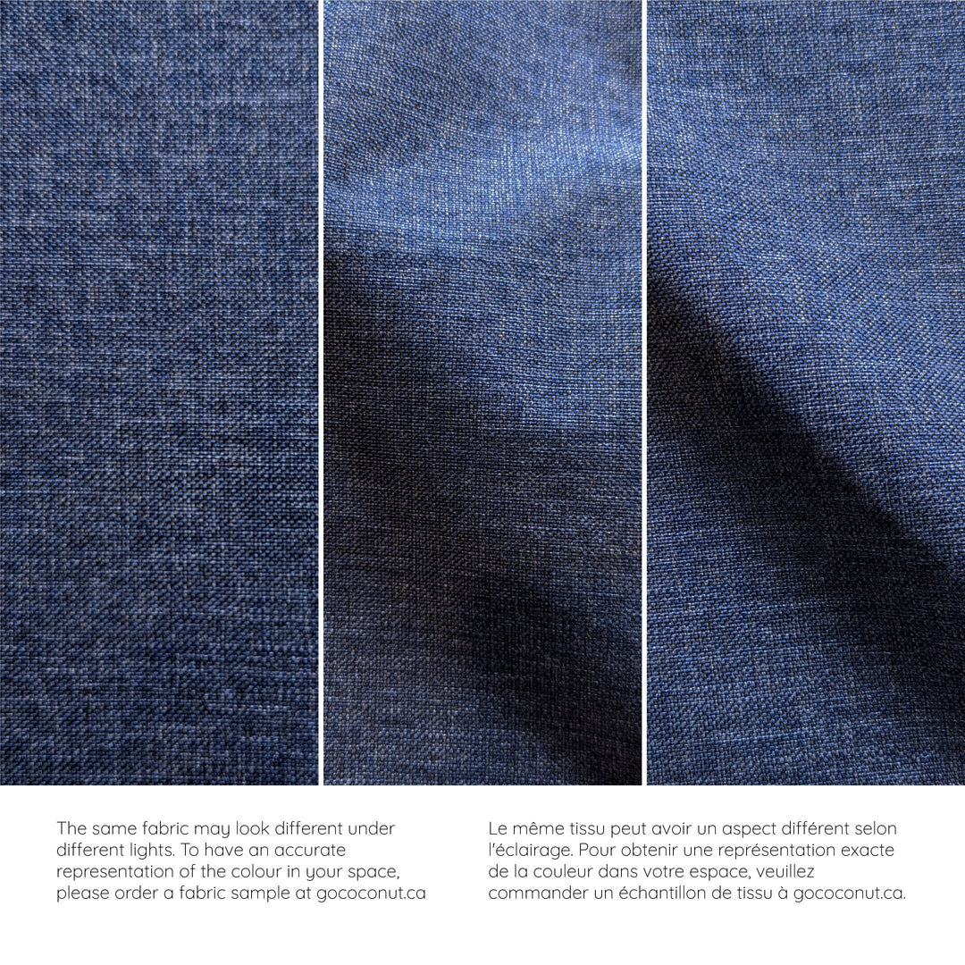 The Adventure Coconut