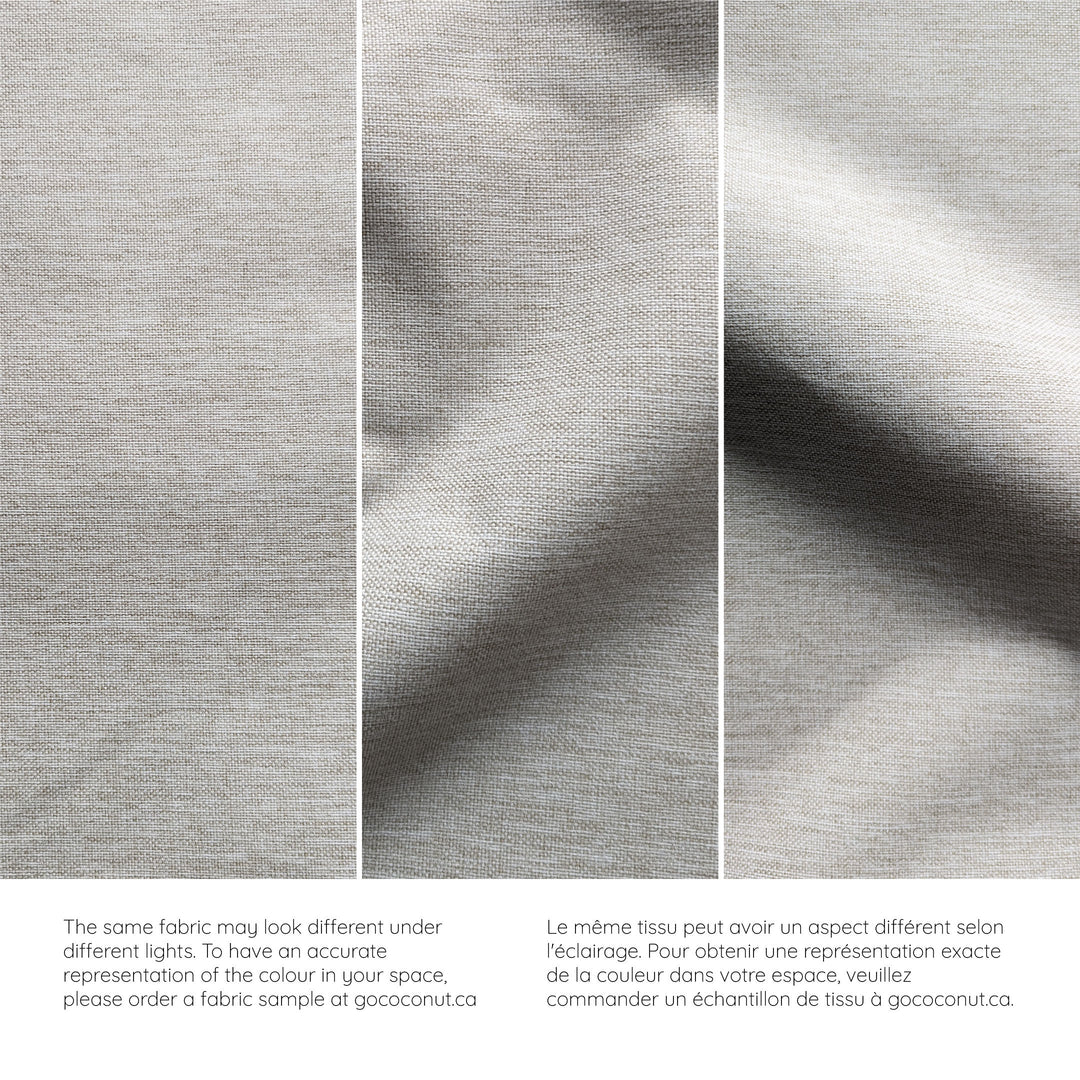 The Adventure Half-Coconut