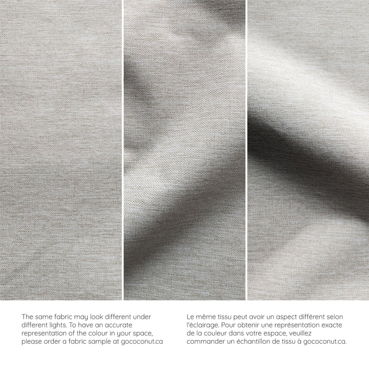 The Adventure Coconut