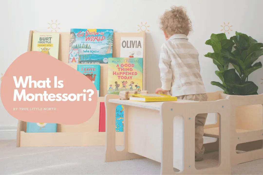 Discovering the Science Behind Montessori Philosophy And True Little North's Wooden Climbers: Benefits Of Hands-On Learning And Social-Emotional Development For Children True Little North