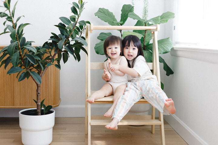 Adjustable Double Wide Fold N' Store Learning Tower - MLHCo