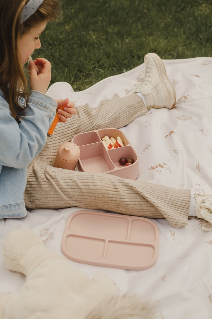 Silicone bento lunch box