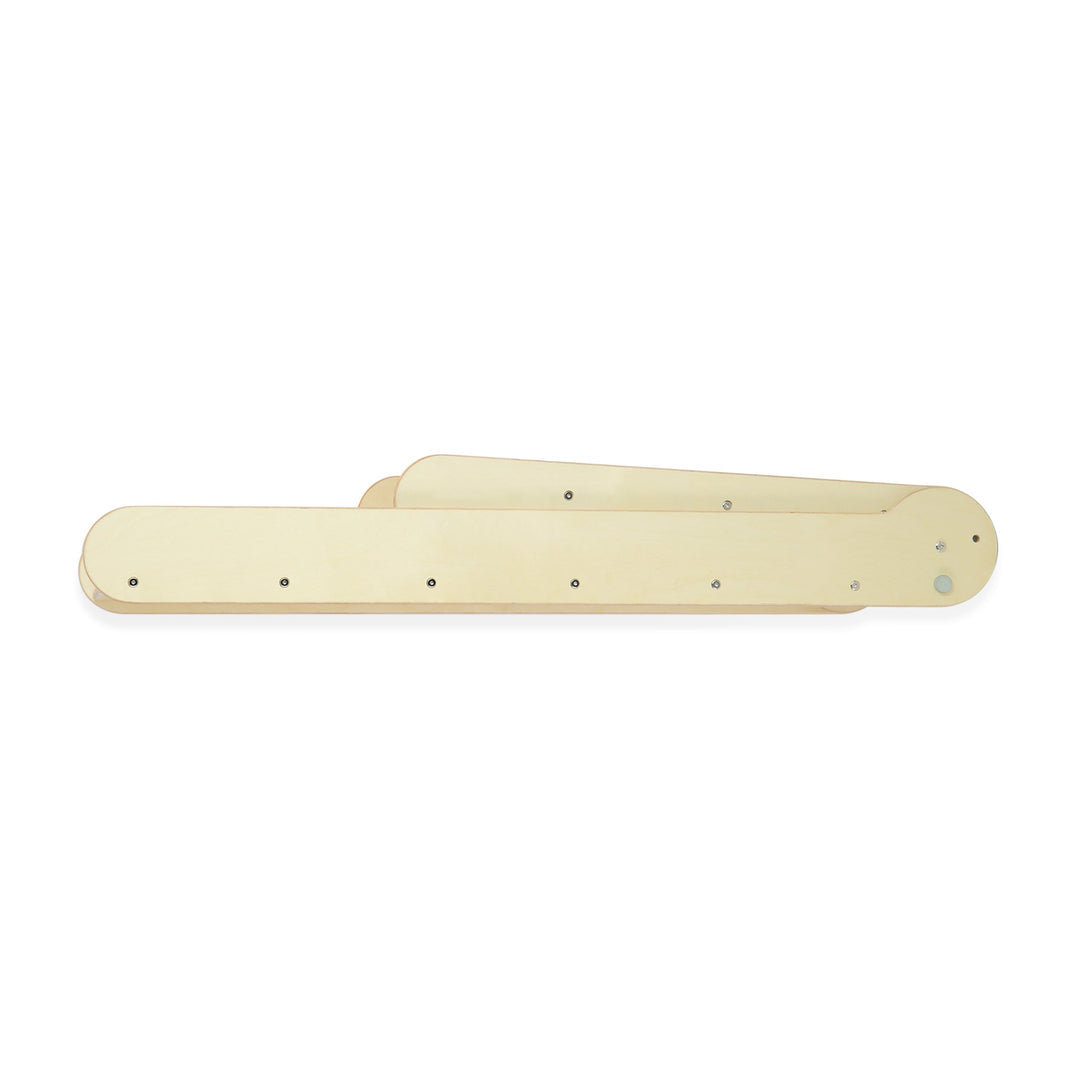 2-in-1 Slide N' Sketch Children's Folding Slide with Easel -MLHCo