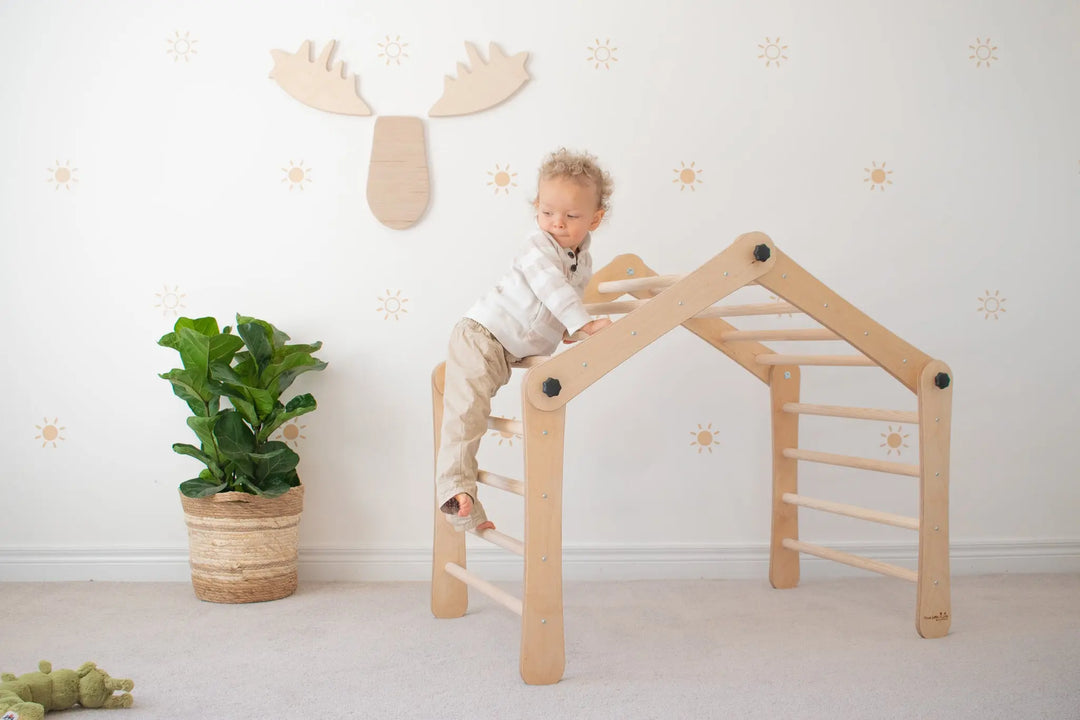 Transformable Pikler Triangle - Little Gym True Little North