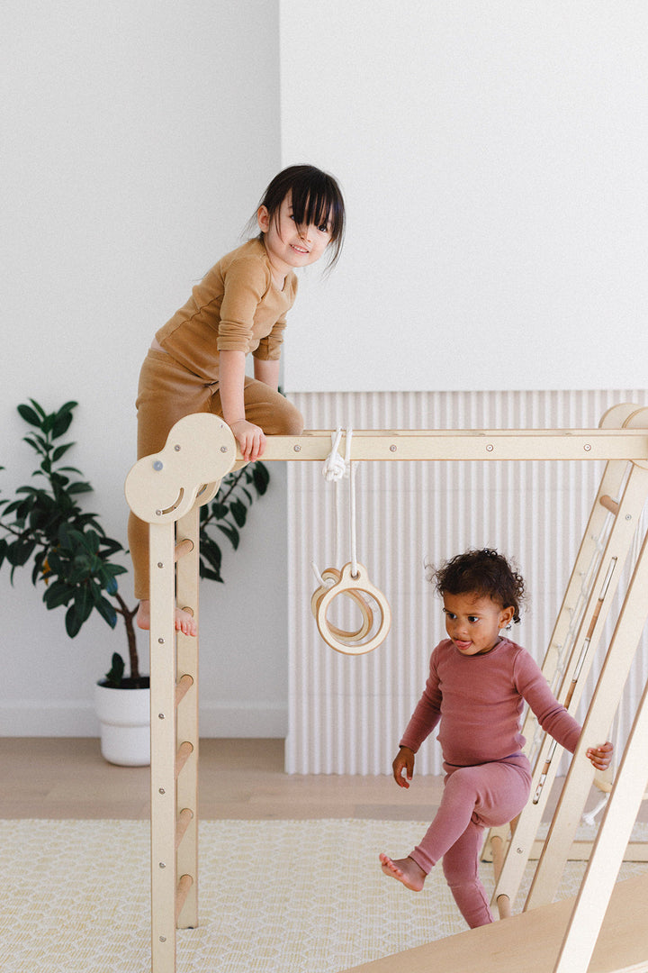 6-in-1 Climb N' Swing Children's Indoor Jungle Play Gym