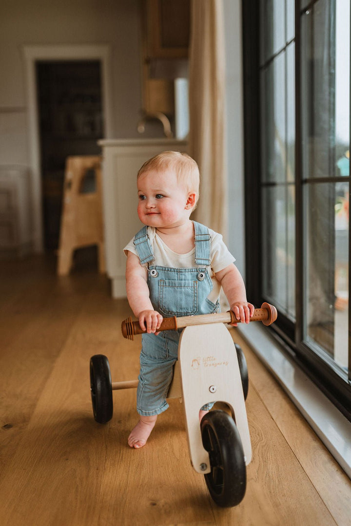 Transformable Toddler Balance Bike : The 2-In-1 Balance Bike for Kids
