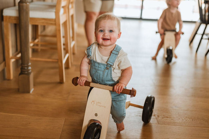 Transformable Toddler Balance Bike : The 2-In-1 Balance Bike for Kids