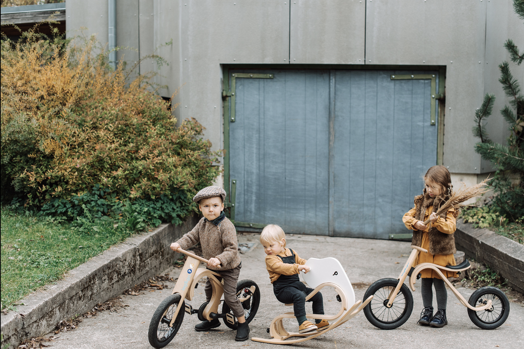 Transformable Balance Bike 3 In 1